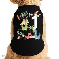 1 Year Old Roar Im 1 1st Birthday Boy T Rex Dinosaur Doggie Tank thumb 0