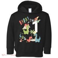 1 Year Old Roar Im 1 1st Birthday Boy T Rex Dinosaur Toddler Hoodie thumb 0