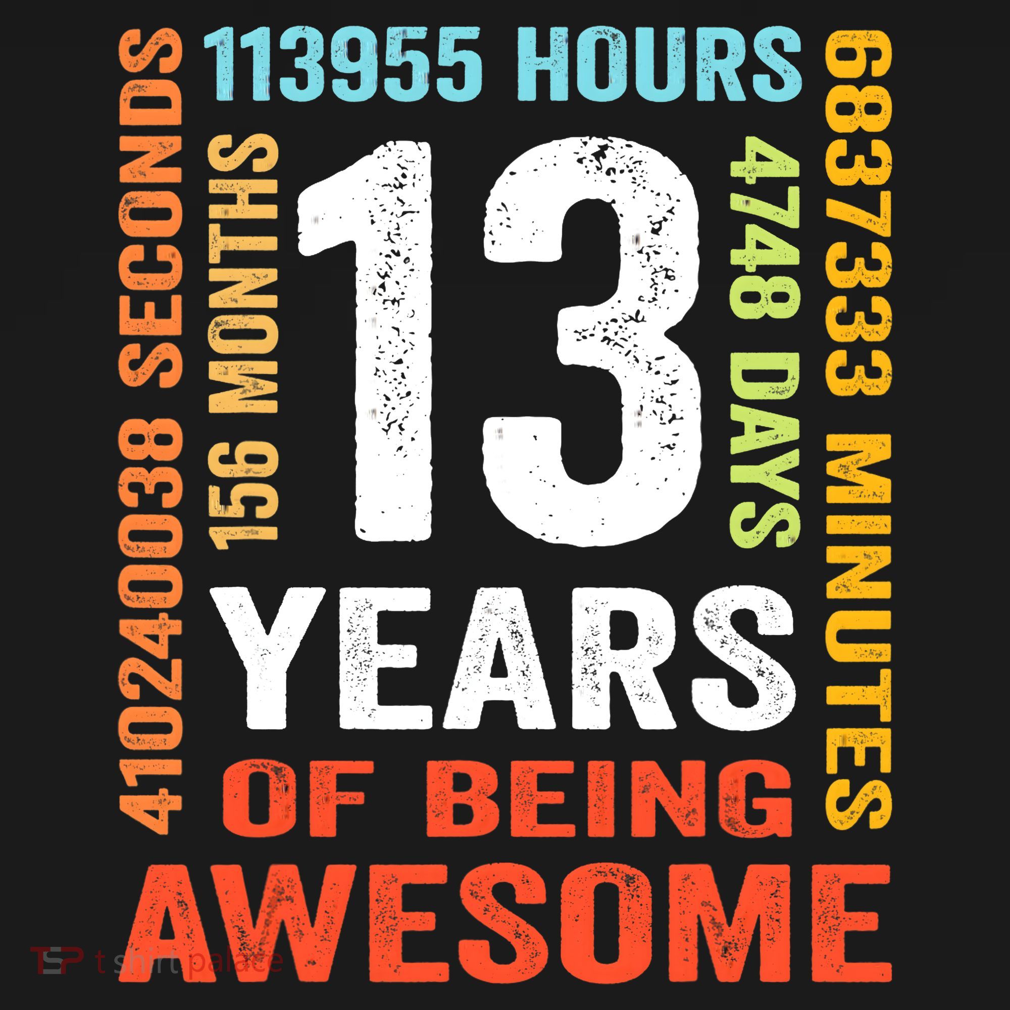 13 Years Old 13th Birthday Gift Vintage 156 Month Boy Girl T-Shirt