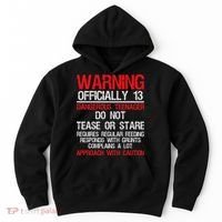 13 Years Old Warning Dangerous Teenager 13th Birthday Hoodie thumb 0