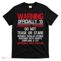 13 Years Old Warning Dangerous Teenager 13th Birthday T-Shirt thumb 0
