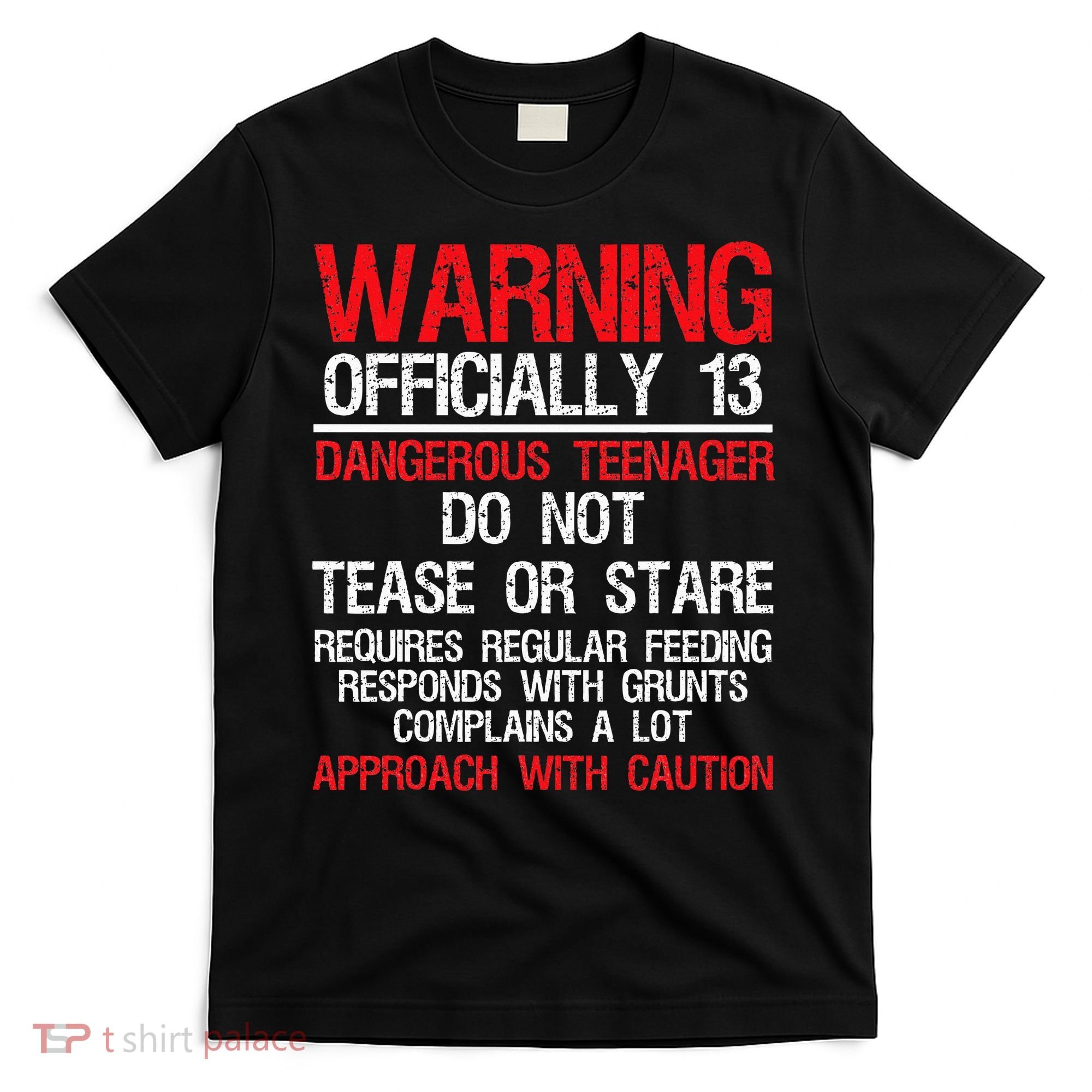 13 Years Old Warning Dangerous Teenager 13th Birthday T-Shirt
