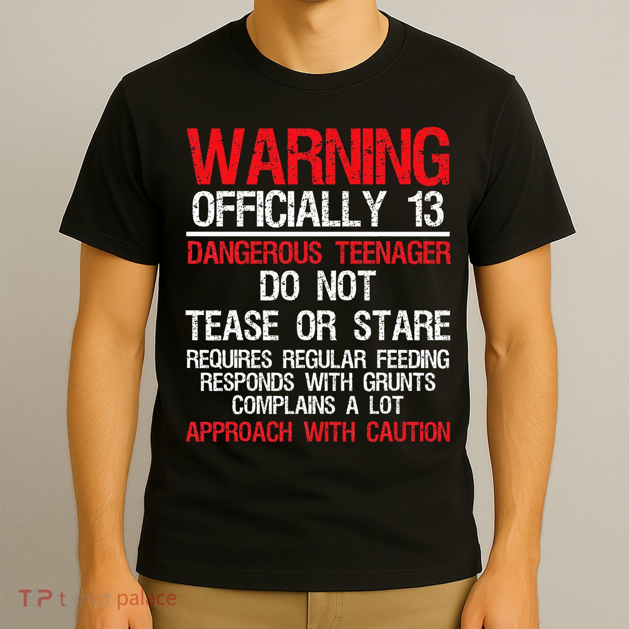 13 Years Old Warning Dangerous Teenager 13th Birthday T-Shirt