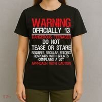 13 Years Old Warning Dangerous Teenager 13th Birthday T-Shirt thumb 4