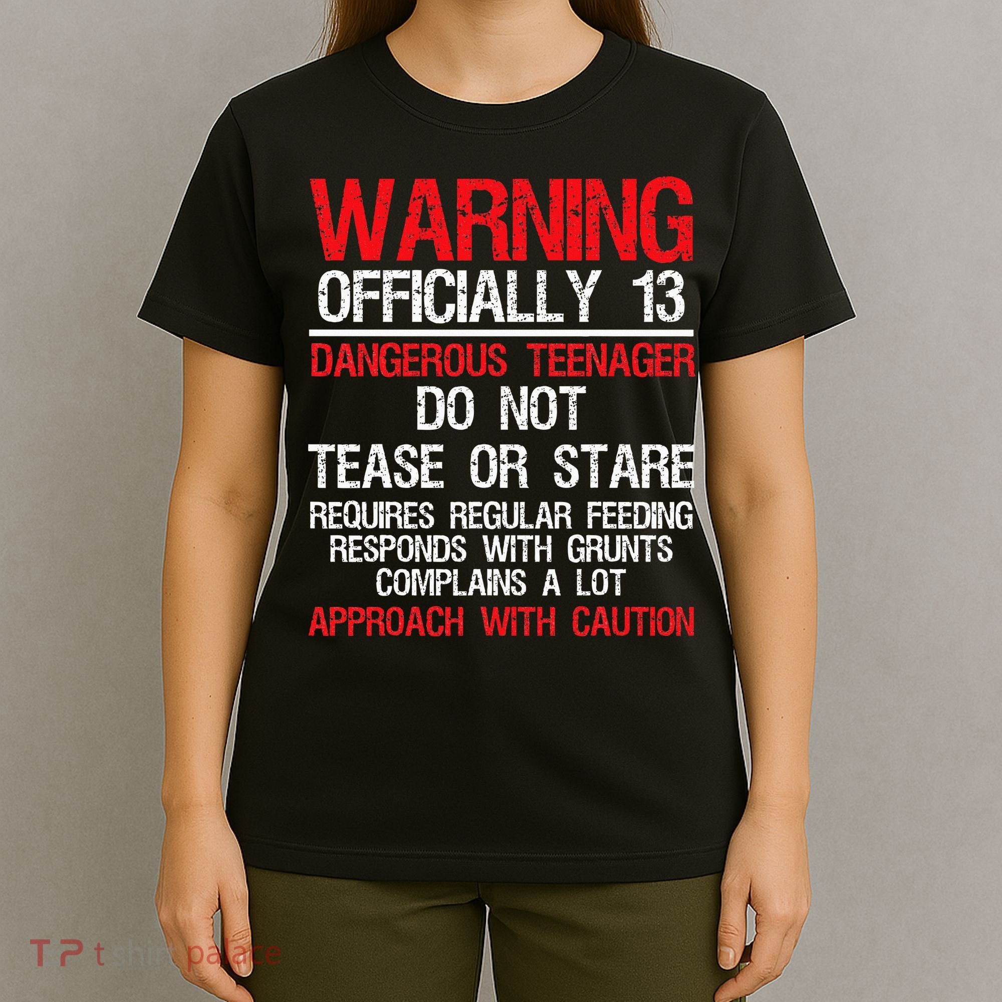 13 Years Old Warning Dangerous Teenager 13th Birthday T-Shirt
