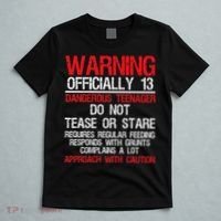 13 Years Old Warning Dangerous Teenager 13th Birthday T-Shirt thumb 5