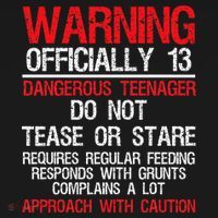 13 Years Old Warning Dangerous Teenager 13th Birthday Button thumb 1