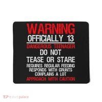 13 Years Old Warning Dangerous Teenager 13th Birthday Mousepad thumb 0
