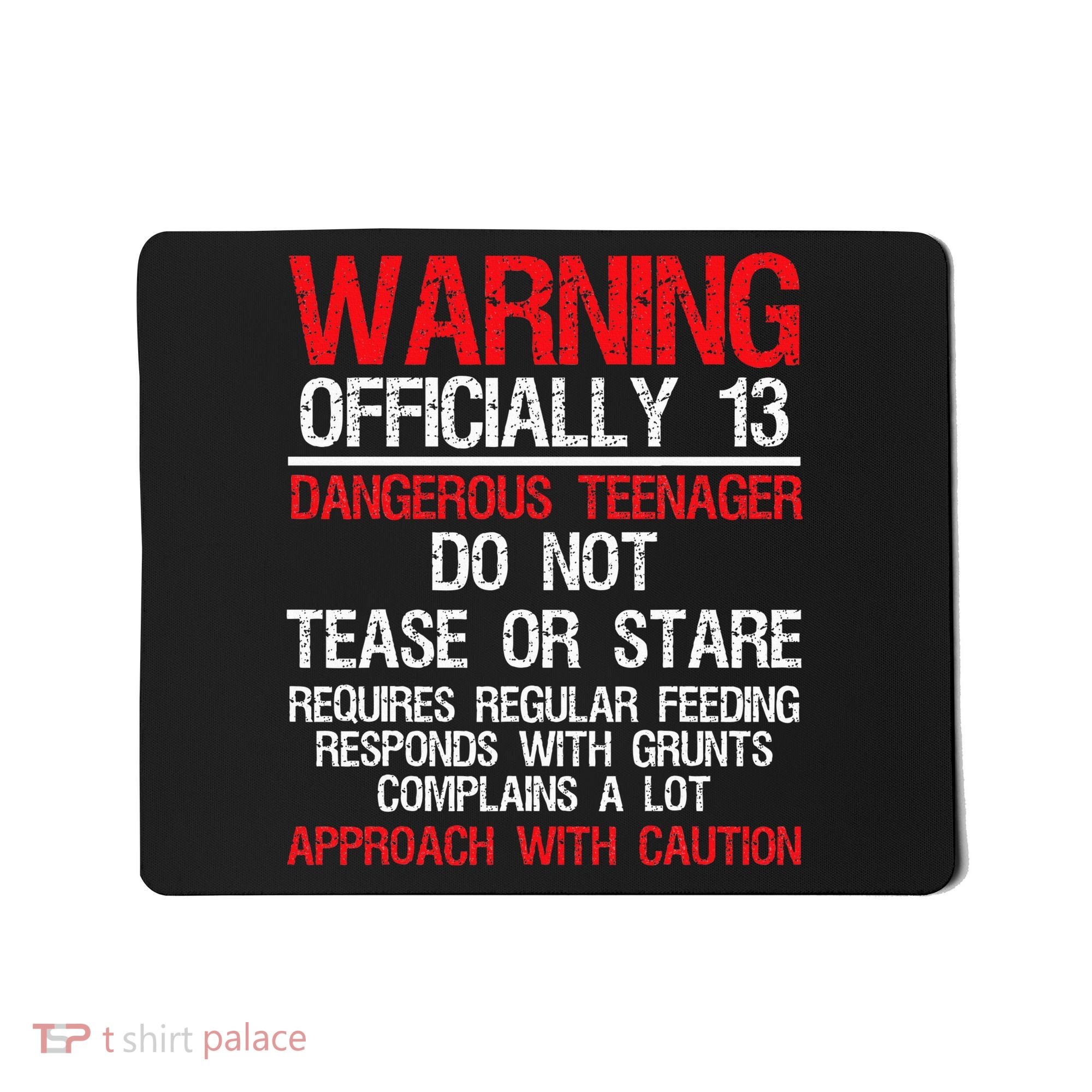 13 Years Old Warning Dangerous Teenager 13th Birthday Mousepad