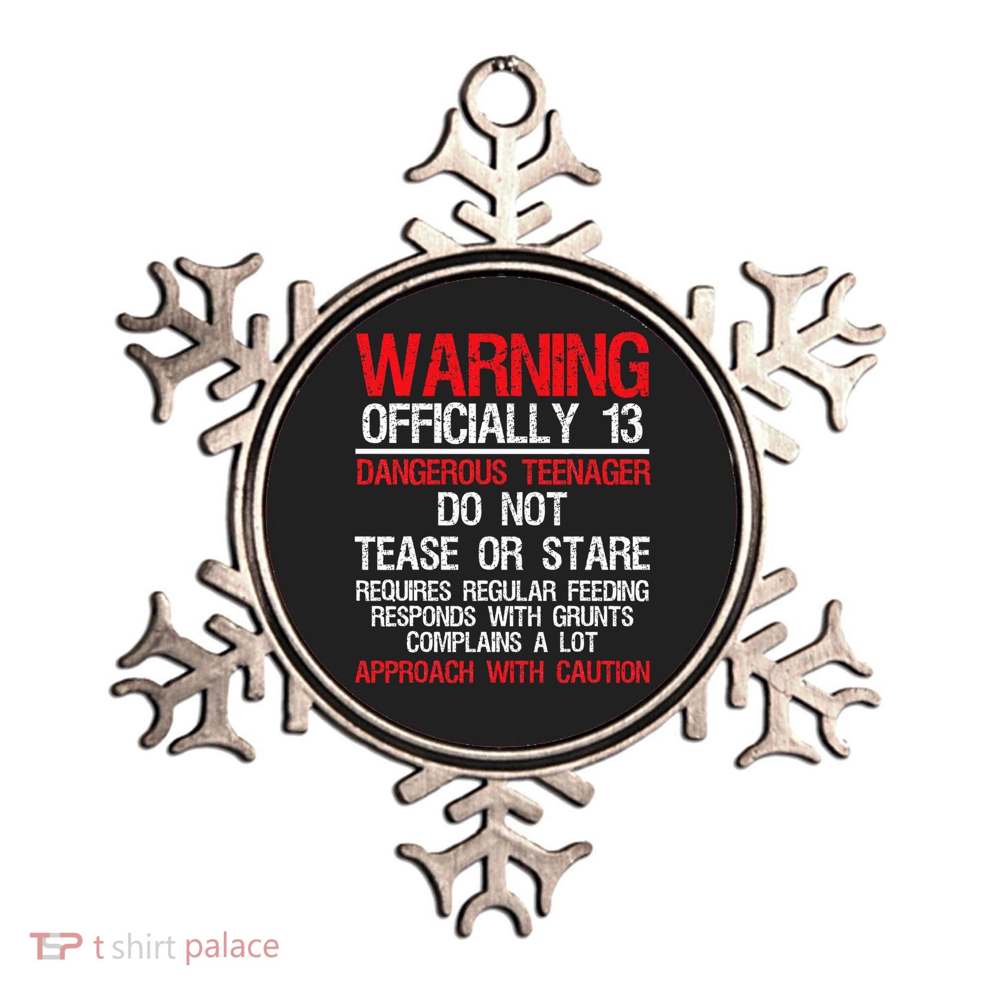 13 Years Old Warning Dangerous Teenager 13th Birthday Ornament