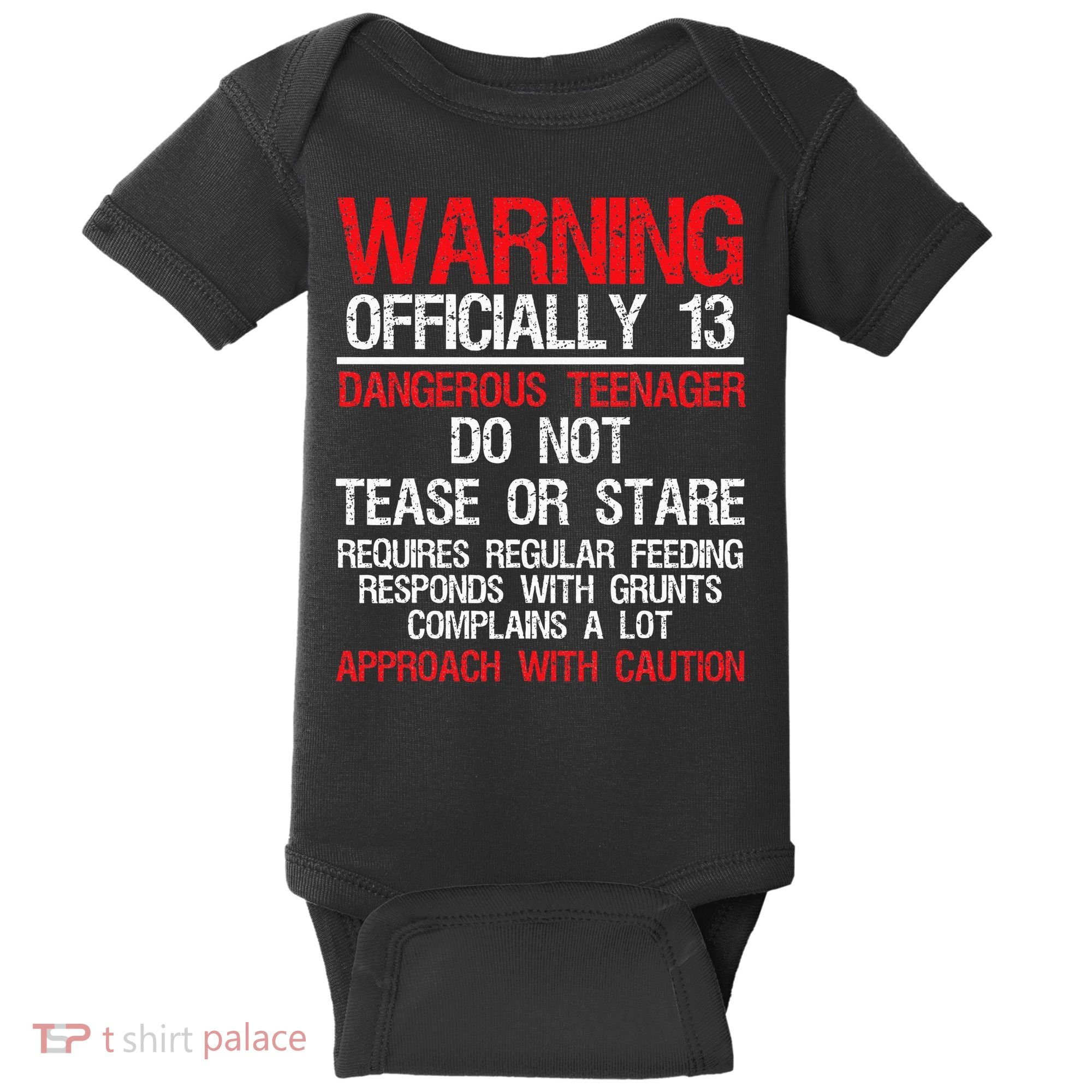 13 Years Old Warning Dangerous Teenager 13th Birthday Baby Bodysuit