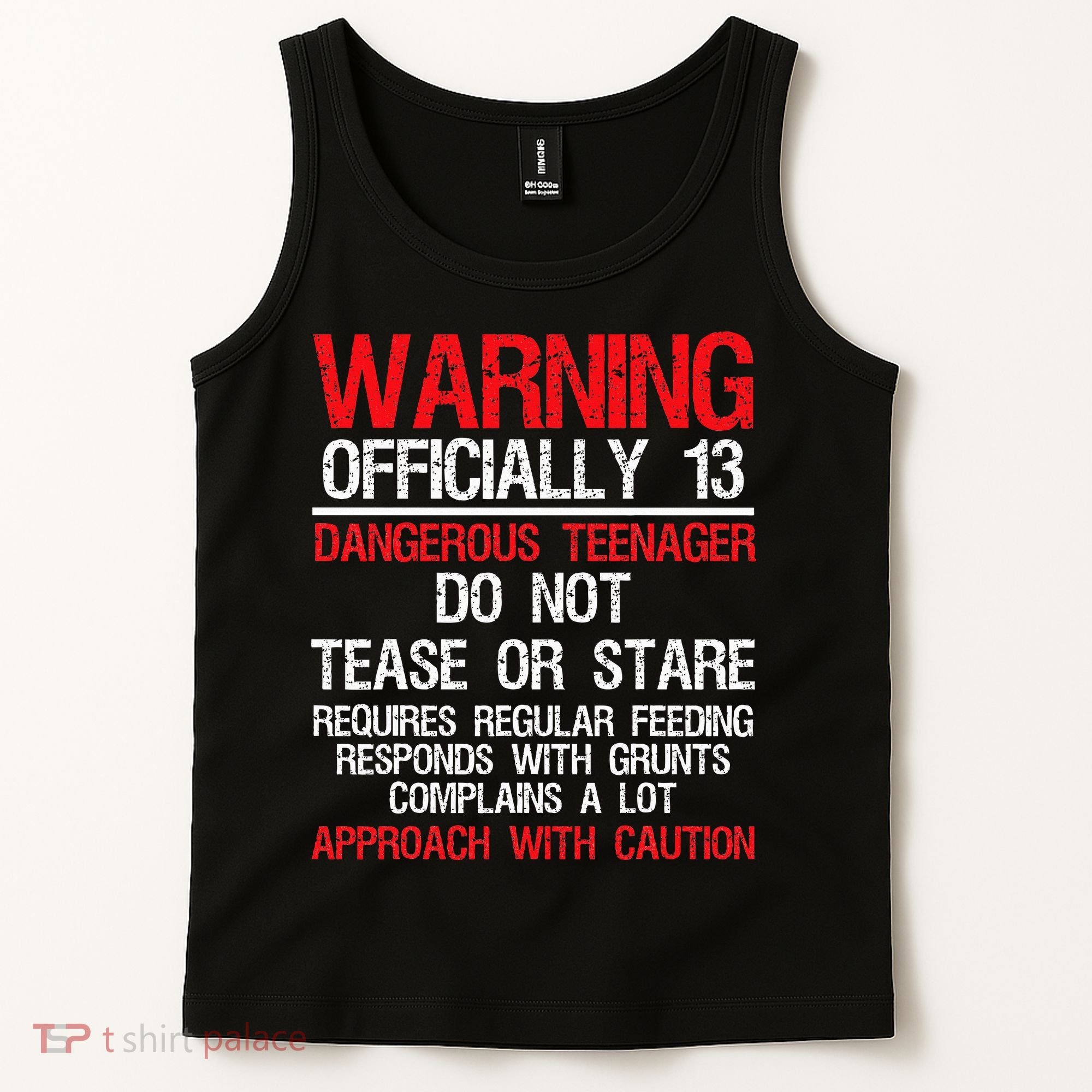 13 Years Old Warning Dangerous Teenager 13th Birthday Tank Top