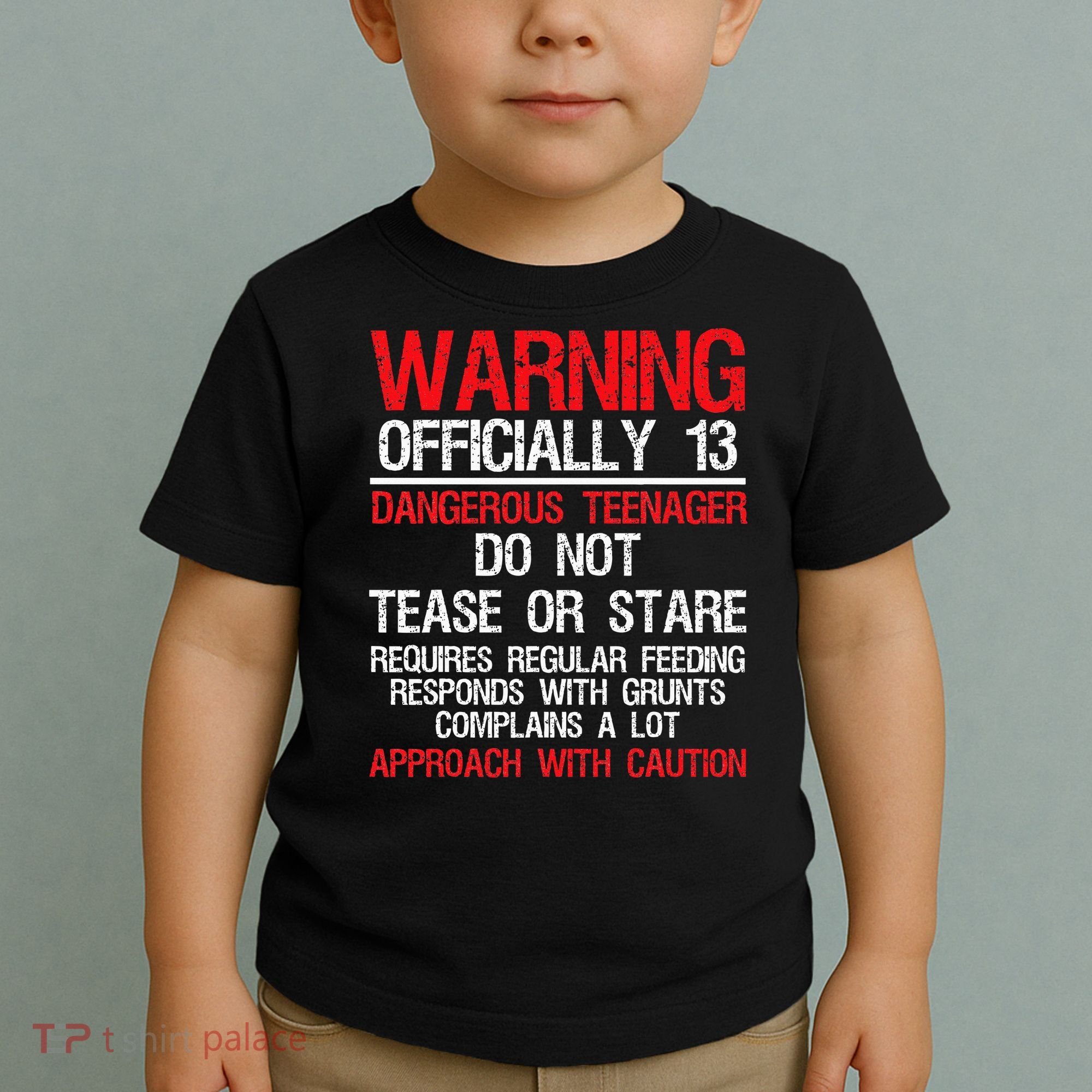 13 Years Old Warning Dangerous Teenager 13th Birthday Toddler T-Shirt