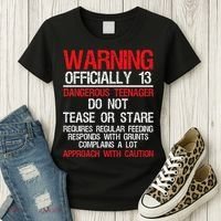 13 Years Old Warning Dangerous Teenager 13th Birthday Women's T-Shirt thumb 3