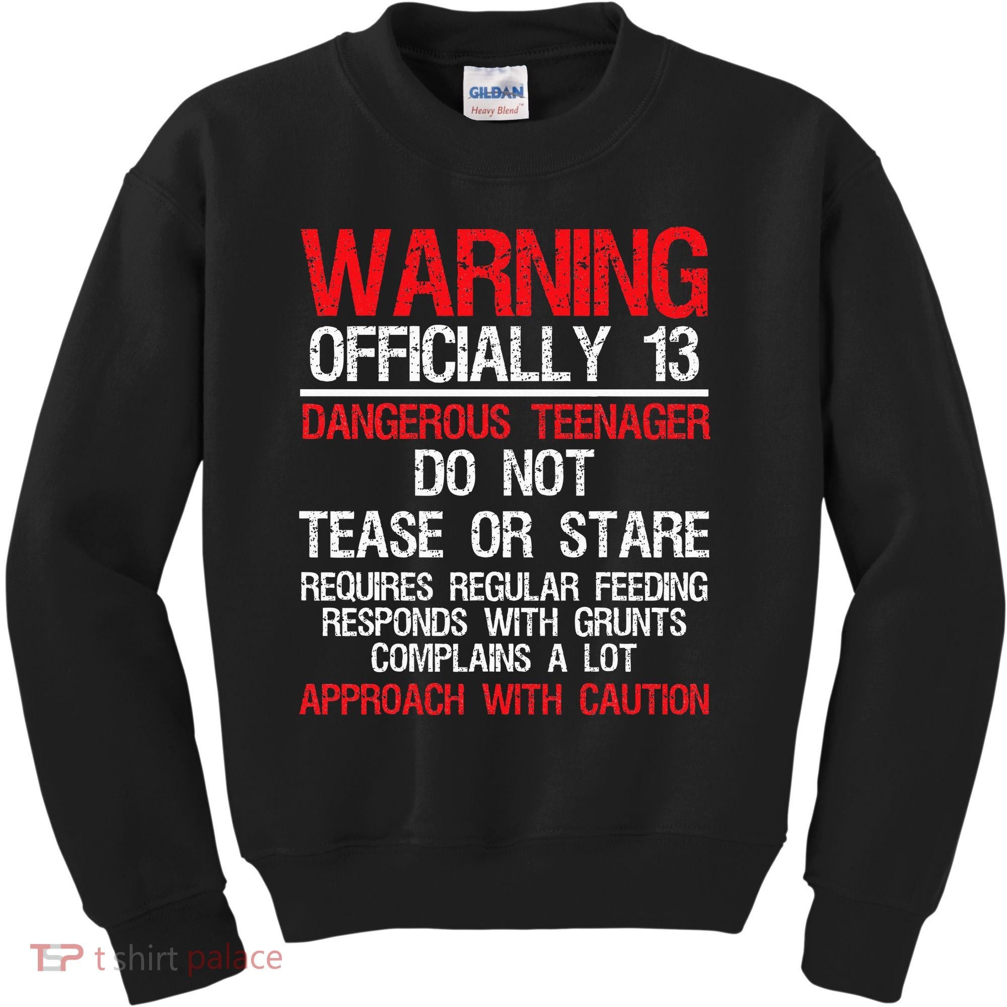 13 Years Old Warning Dangerous Teenager 13th Birthday Kids Sweatshirt