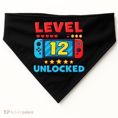 12 Year Old Birthday Decorations Son Boy 12th USA-Made Doggie Bandana