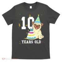 10 Years Old Birthday Pug Dog Lover Party Kids Boy Girl T-Shirt thumb 0
