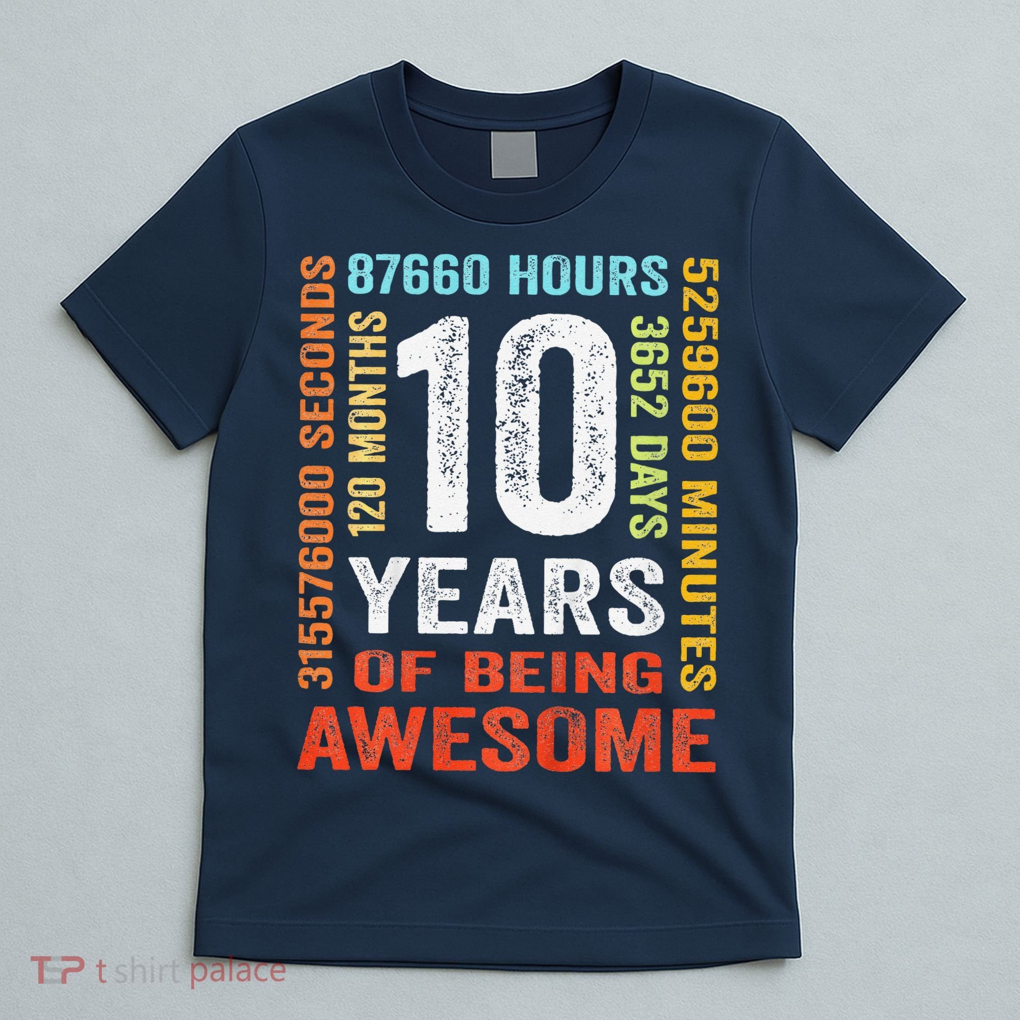 10 Years Old 10th Birthday Gift Vintage Retro 120 Months T-Shirt