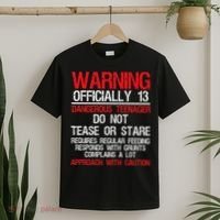 13 Years Old Warning Dangerous Teenager 13th Birthday T-Shirt thumb 2
