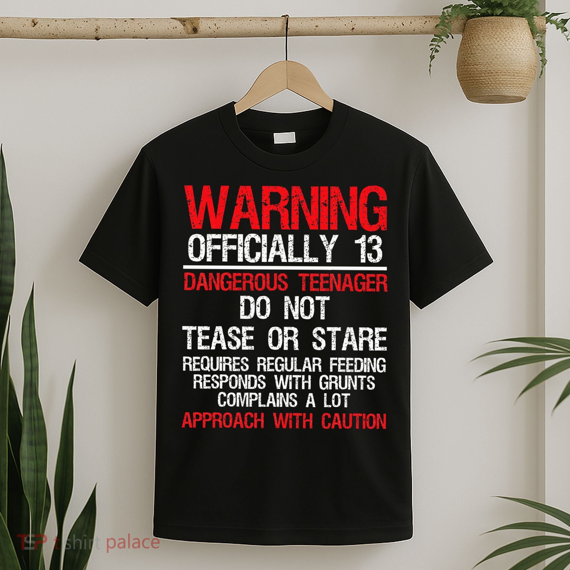 13 Years Old Warning Dangerous Teenager 13th Birthday T-Shirt