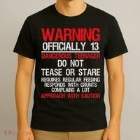 13 Years Old Warning Dangerous Teenager 13th Birthday T-Shirt thumb 3