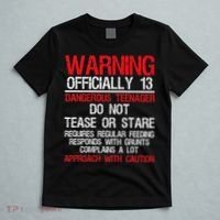 13 Years Old Warning Dangerous Teenager 13th Birthday T-Shirt thumb 5