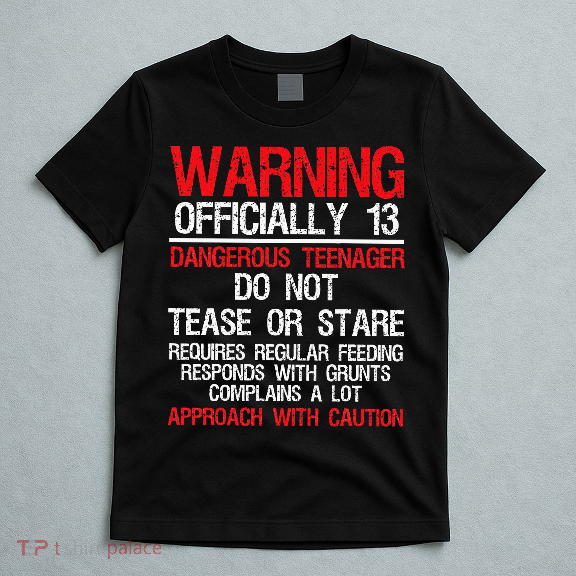 13 Years Old Warning Dangerous Teenager 13th Birthday T-Shirt