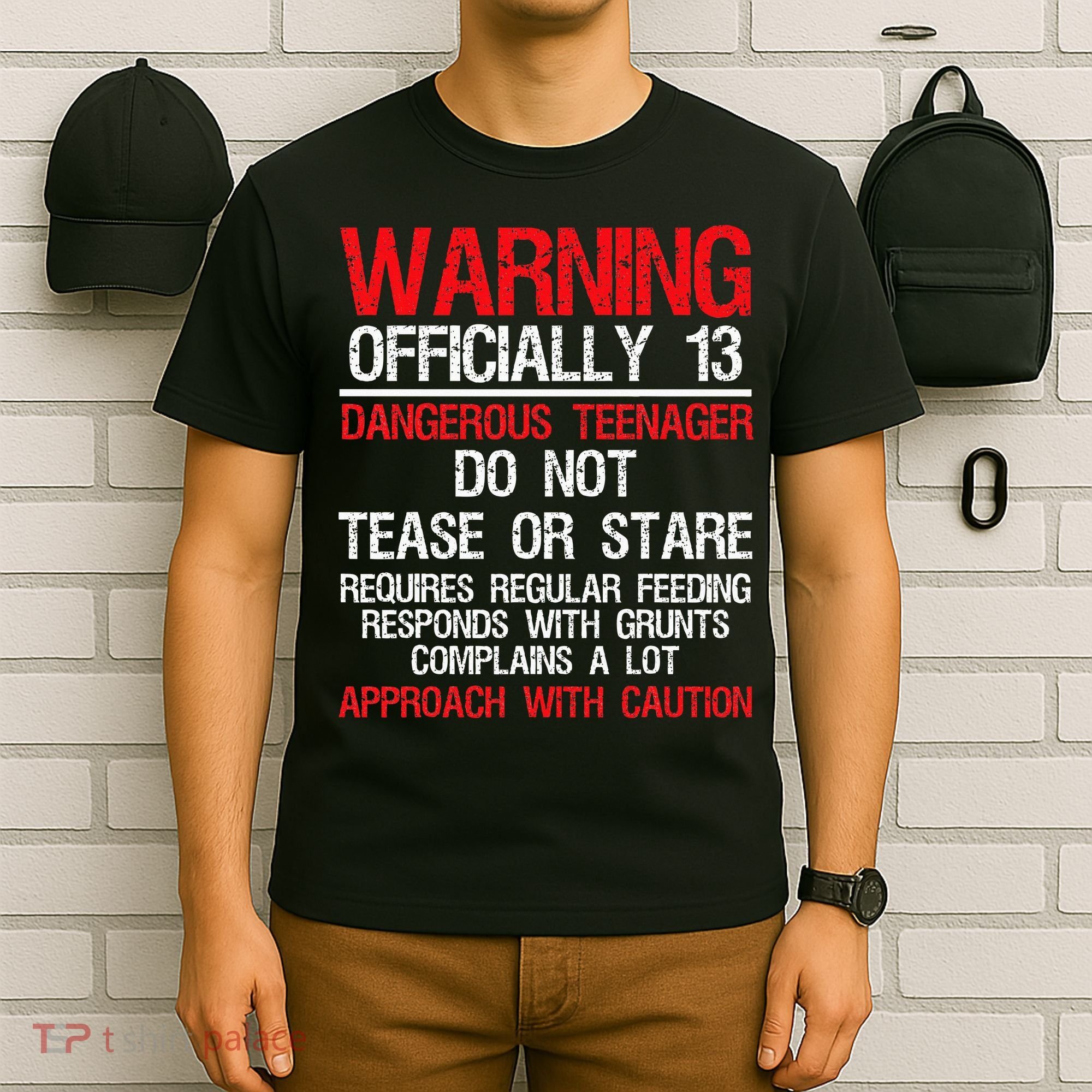 13 Years Old Warning Dangerous Teenager 13th Birthday T-Shirt