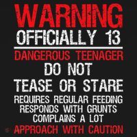 13 Years Old Warning Dangerous Teenager 13th Birthday T-Shirt thumb 7