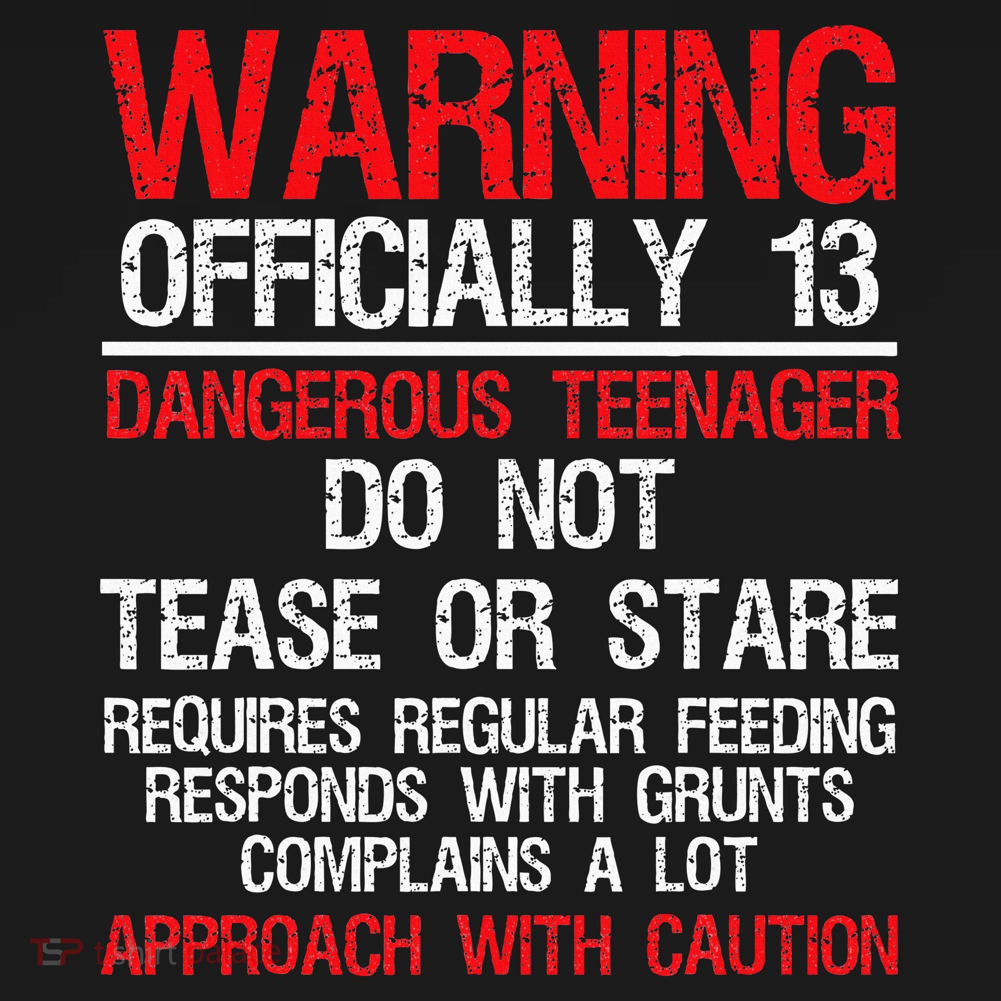 13 Years Old Warning Dangerous Teenager 13th Birthday Women's Tank Top