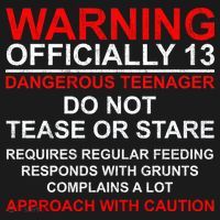 13 Years Old Warning Dangerous Teenager 13th Birthday Hoodie thumb 2