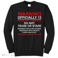 13 Years Old Warning Dangerous Teenager 13th Birthday Sweatshirt thumb 0