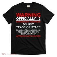 13 Years Old Warning Dangerous Teenager 13th Birthday T-Shirt thumb 0