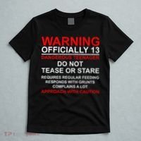 13 Years Old Warning Dangerous Teenager 13th Birthday T-Shirt thumb 5