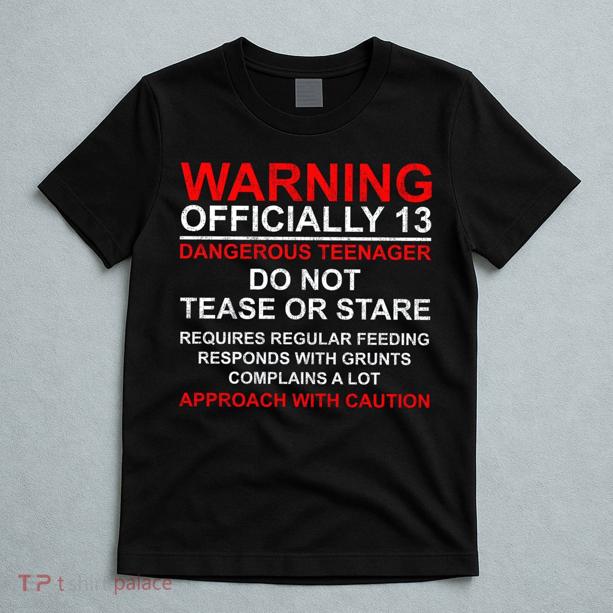 13 Years Old Warning Dangerous Teenager 13th Birthday T-Shirt