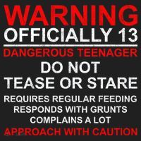 13 Years Old Warning Dangerous Teenager 13th Birthday Beanie thumb 2