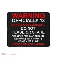 13 Years Old Warning Dangerous Teenager 13th Birthday Mousepad thumb 0