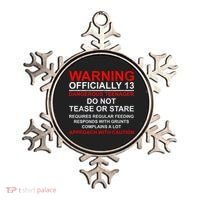 13 Years Old Warning Dangerous Teenager 13th Birthday Ornament thumb 0
