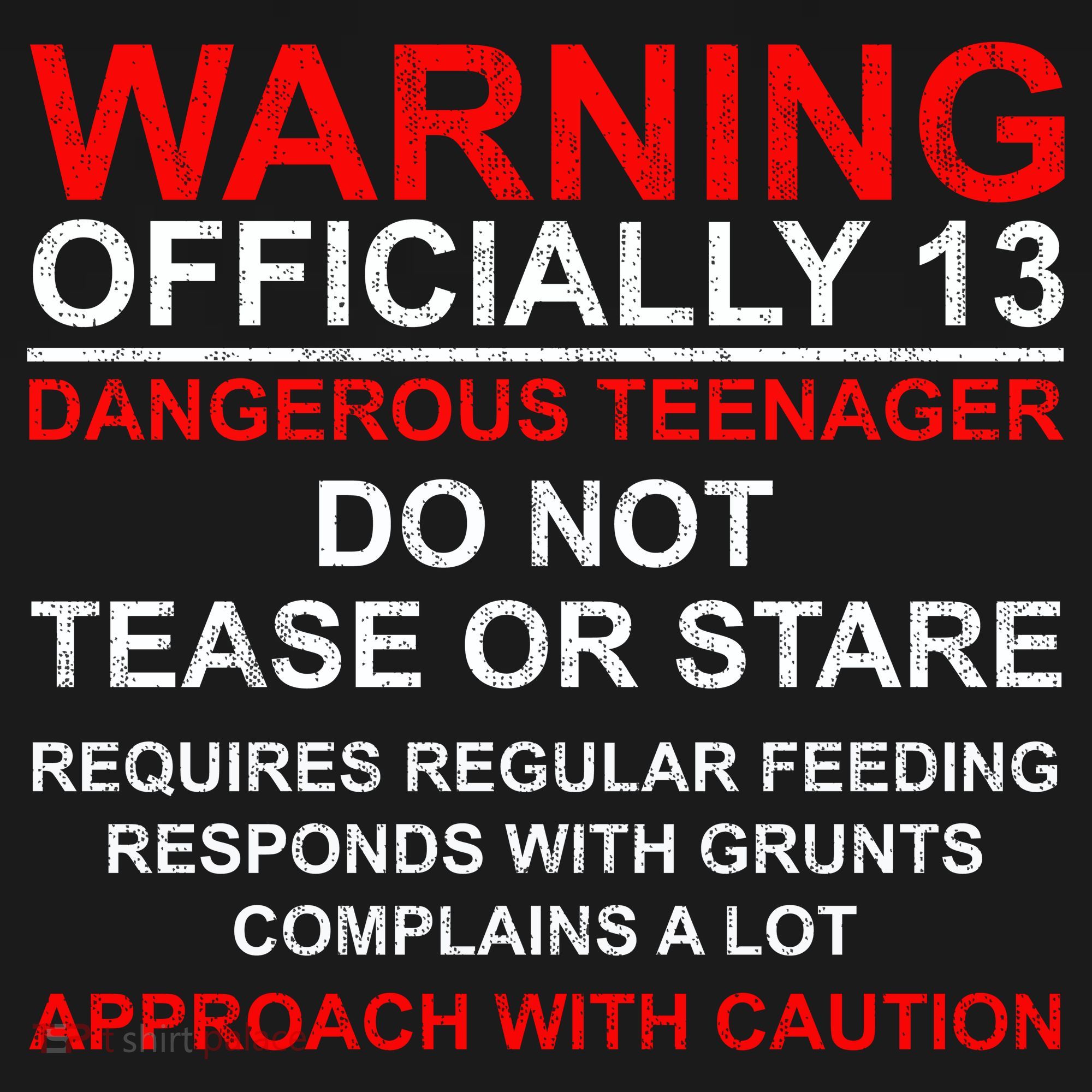 13 Years Old Warning Dangerous Teenager 13th Birthday Women's Tank Top