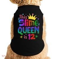 12 Year Old Gift This Slime Queen Is 12th Birthday N Doggie Tank thumb 0