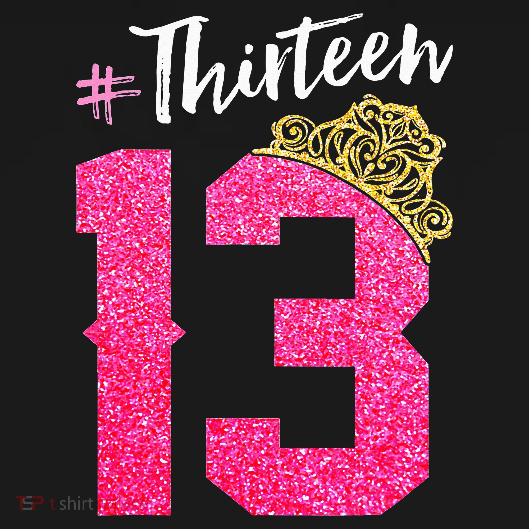 13 Years Old O.fficial Teenager 13th Birthday Gifts T-Shirt