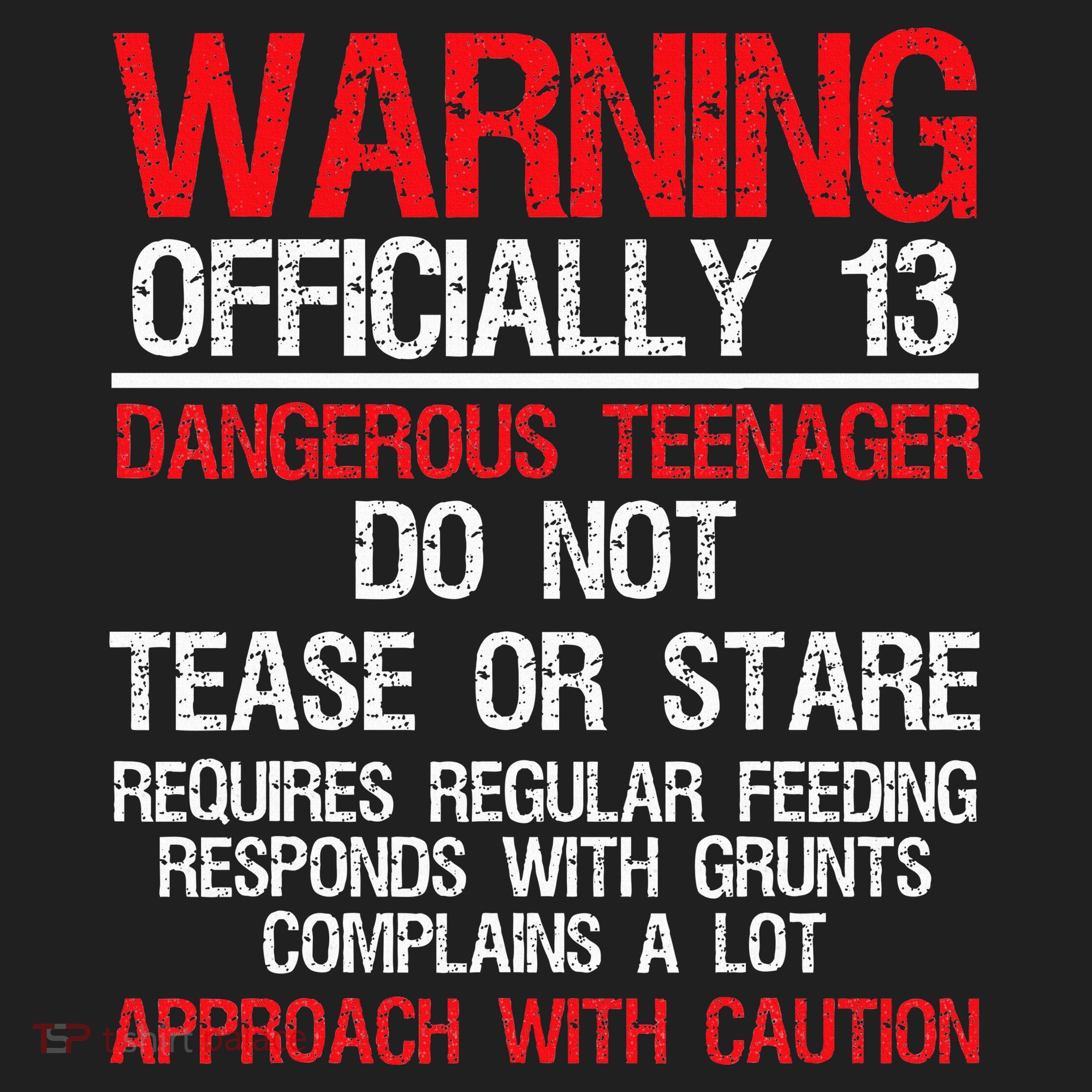 13 Years Old Warning Dangerous Teenager 13th Birthday Beanie