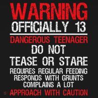13 Years Old Warning Dangerous Teenager 13th Birthday Women's Hoodie thumb 2