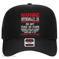 13 Years Old Warning Dangerous Teenager 13th Birthday Hat thumb 0
