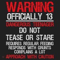 13 Years Old Warning Dangerous Teenager 13th Birthday Hat thumb 2
