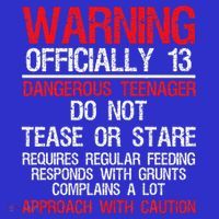 13 Years Old Warning Dangerous Teenager 13th Birthday Apron thumb 3