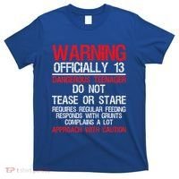 13 Years Old Warning Dangerous Teenager 13th Birthday T-Shirt thumb 0