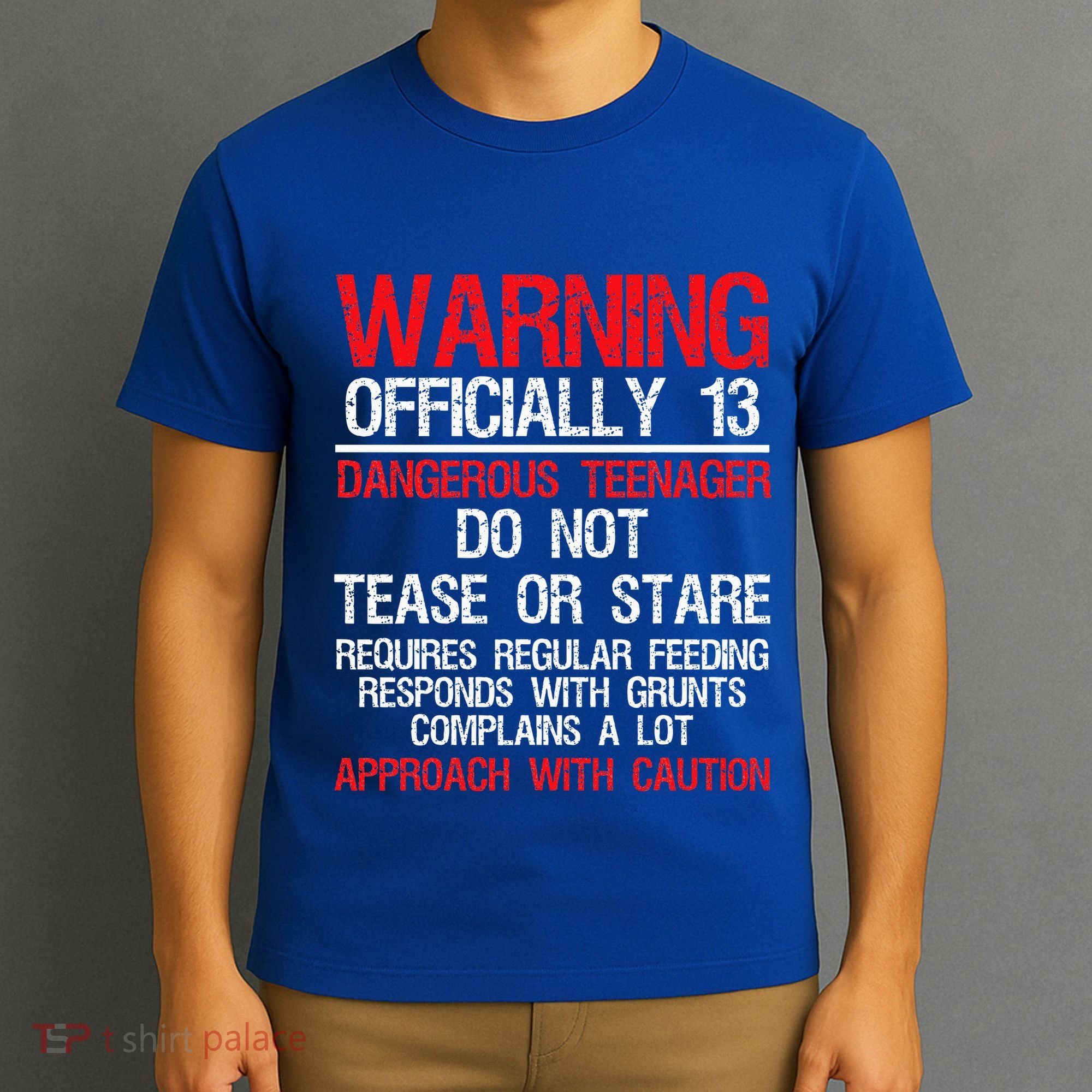 13 Years Old Warning Dangerous Teenager 13th Birthday T-Shirt