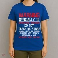 13 Years Old Warning Dangerous Teenager 13th Birthday T-Shirt thumb 4