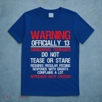 13 Years Old Warning Dangerous Teenager 13th Birthday T-Shirt thumb 5